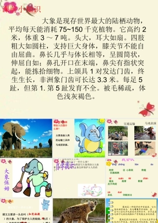 三年级语文下册 第2单元 8《大象保姆》课件4 语文S版-语文S版小学三年级下册语文课件