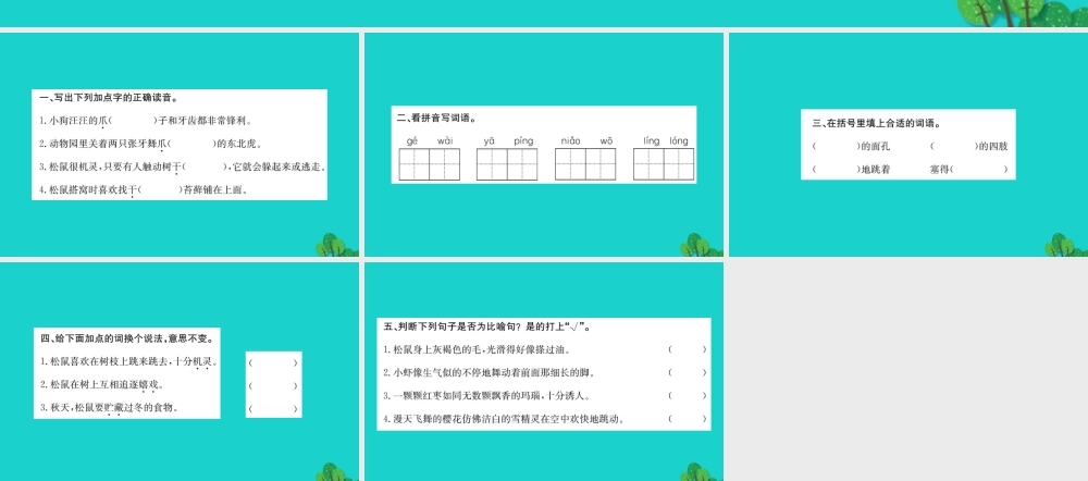 三年级语文下册 3《可爱的小生灵》松鼠习题课件 北师大版-北师大版小学三年级下册语文课件