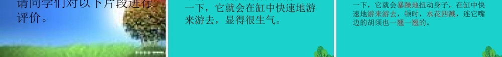 三年级语文下册 3《可爱的小生灵》小虾教学课件 北师大版-北师大版小学三年级下册语文课件
