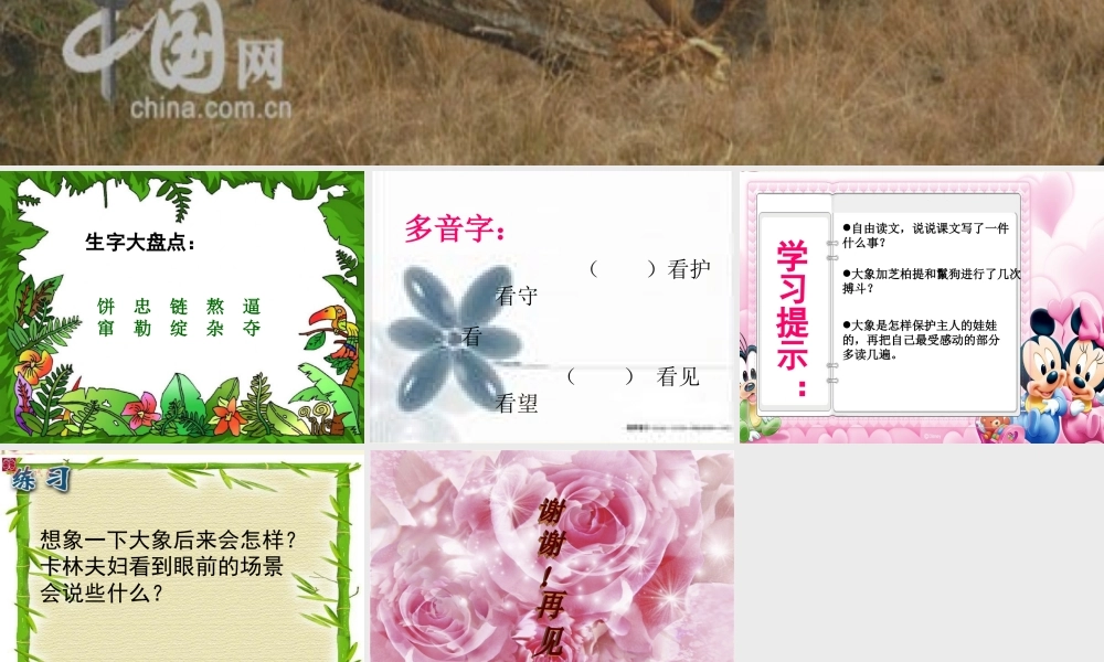 三年级语文下册 第2单元 8《大象保姆》课件6 语文S版-语文S版小学三年级下册语文课件