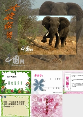 三年级语文下册 第2单元 8《大象保姆》课件6 语文S版-语文S版小学三年级下册语文课件