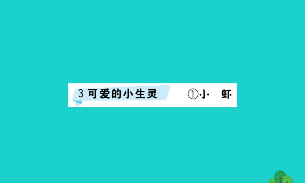 三年级语文下册 3《可爱的小生灵》小虾预习课件 北师大版-北师大版小学三年级下册语文课件