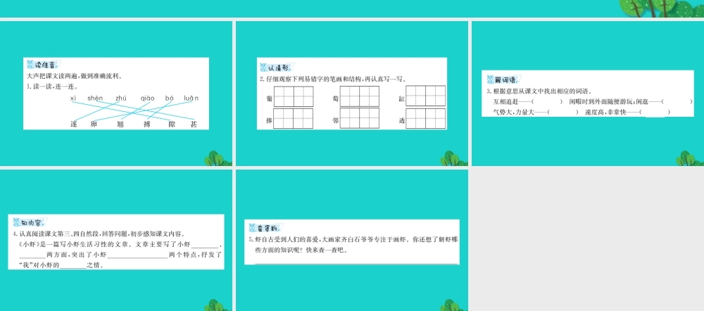 三年级语文下册 3《可爱的小生灵》小虾预习课件 北师大版-北师大版小学三年级下册语文课件