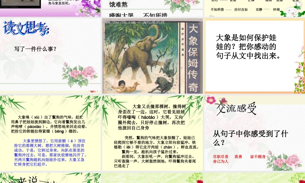 三年级语文下册 第2单元 8《大象保姆》课件7 语文S版-语文S版小学三年级下册语文课件