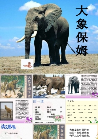 三年级语文下册 第2单元 8《大象保姆》课件7 语文S版-语文S版小学三年级下册语文课件