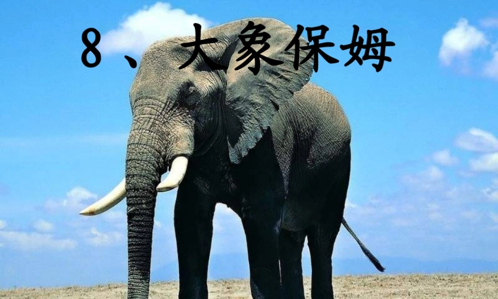 三年级语文下册 第2单元 8《大象保姆》课件8 语文S版-语文S版小学三年级下册语文课件