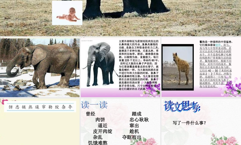 三年级语文下册 第2单元 8《大象保姆》课件8 语文S版-语文S版小学三年级下册语文课件