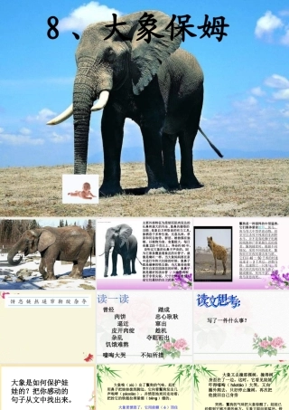 三年级语文下册 第2单元 8《大象保姆》课件8 语文S版-语文S版小学三年级下册语文课件
