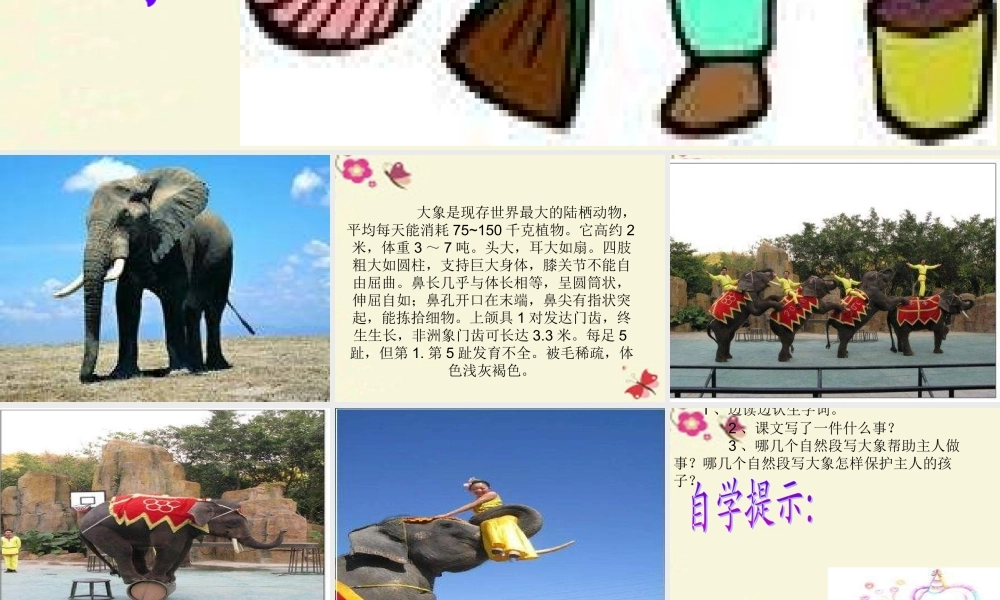 三年级语文下册 第2单元 8《大象保姆》课件9 语文S版-语文S版小学三年级下册语文课件