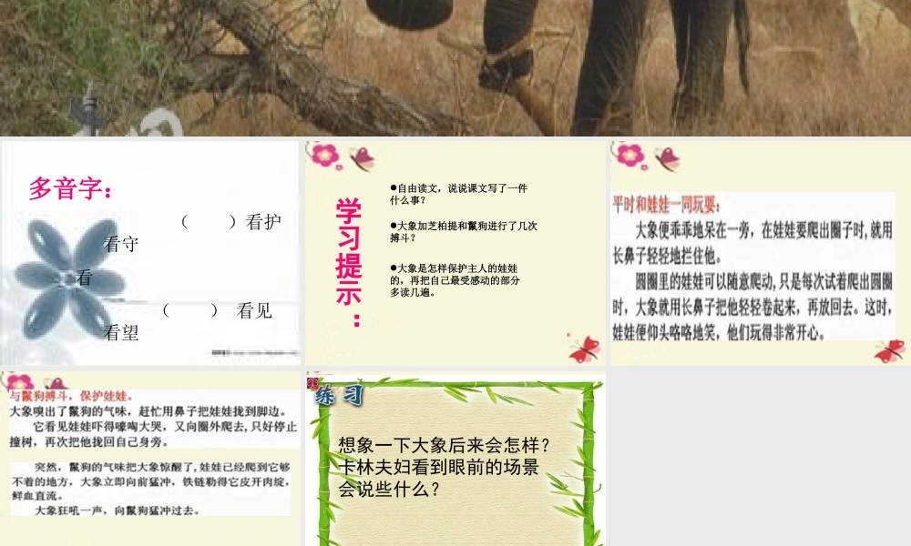 三年级语文下册 第2单元 8《大象保姆》课件10 语文S版-语文S版小学三年级下册语文课件