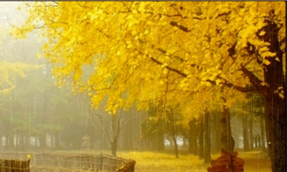 三年级语文上册 第三组 11《秋天的雨》课堂教学课件3 新人教版-新人教版小学三年级上册语文课件