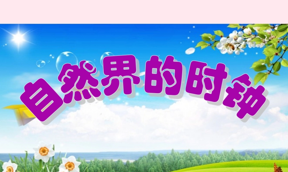 三年级语文下册 10.3《自然界的时钟》课件 长春版-长春版小学三年级下册语文课件