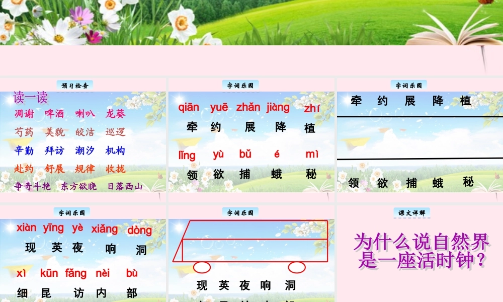 三年级语文下册 10.3《自然界的时钟》课件 长春版-长春版小学三年级下册语文课件