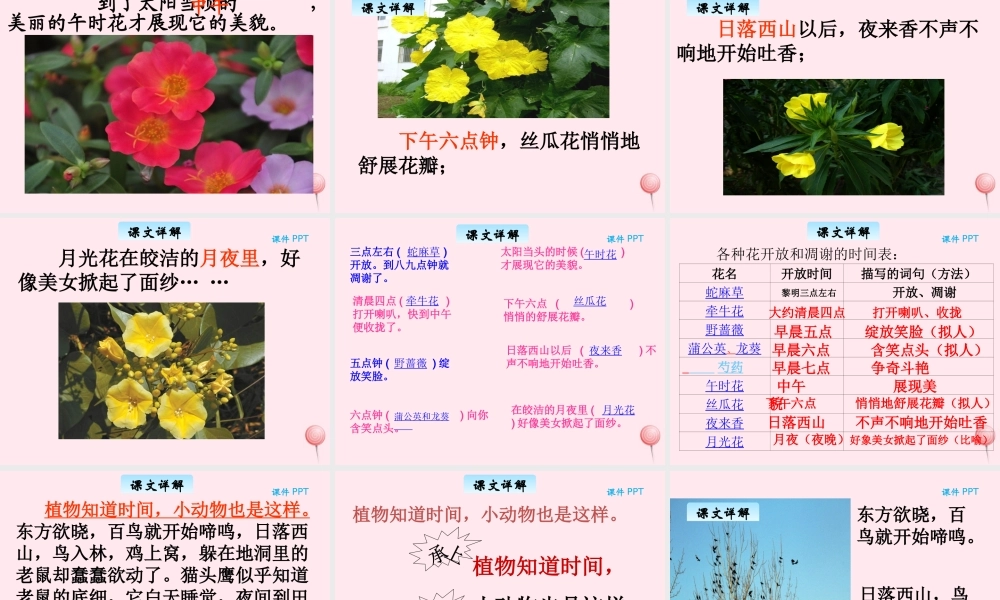 三年级语文下册 10.3《自然界的时钟》课件 长春版-长春版小学三年级下册语文课件