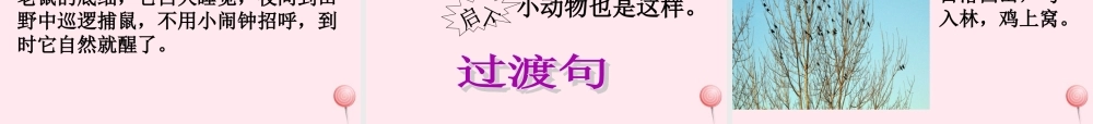 三年级语文下册 10.3《自然界的时钟》课件 长春版-长春版小学三年级下册语文课件