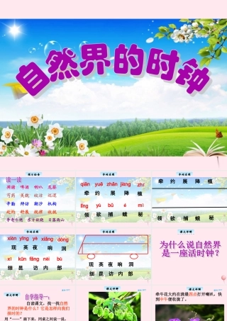 三年级语文下册 10.3《自然界的时钟》课件 长春版-长春版小学三年级下册语文课件