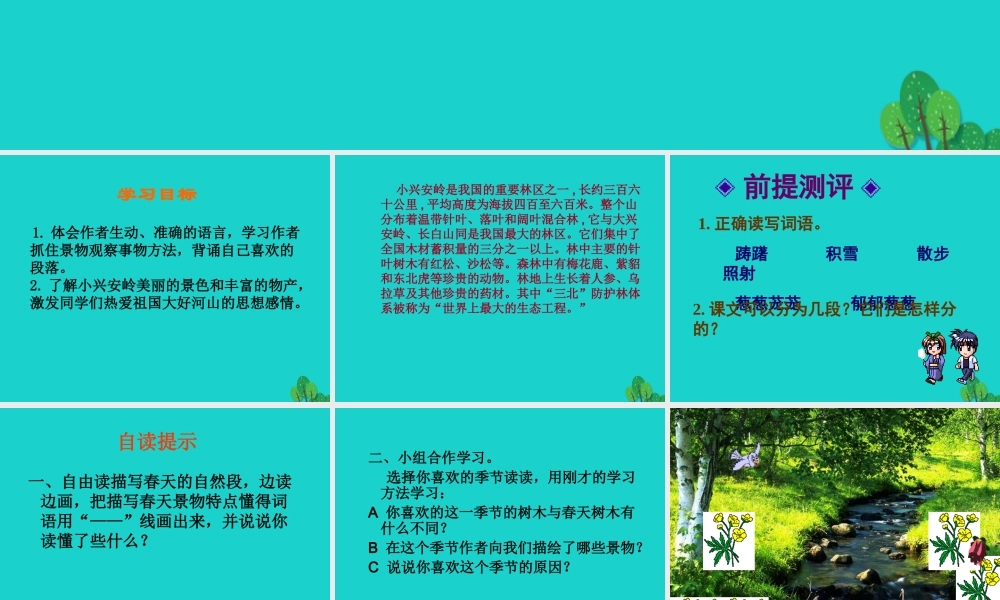 三年级语文下册 10《走进森林》美丽的小兴安岭教学课件 北师大版-北师大版小学三年级下册语文课件