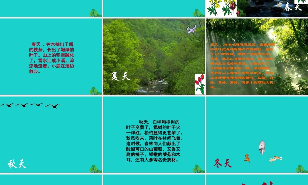 三年级语文下册 10《走进森林》美丽的小兴安岭教学课件 北师大版-北师大版小学三年级下册语文课件