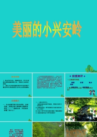 三年级语文下册 10《走进森林》美丽的小兴安岭教学课件 北师大版-北师大版小学三年级下册语文课件