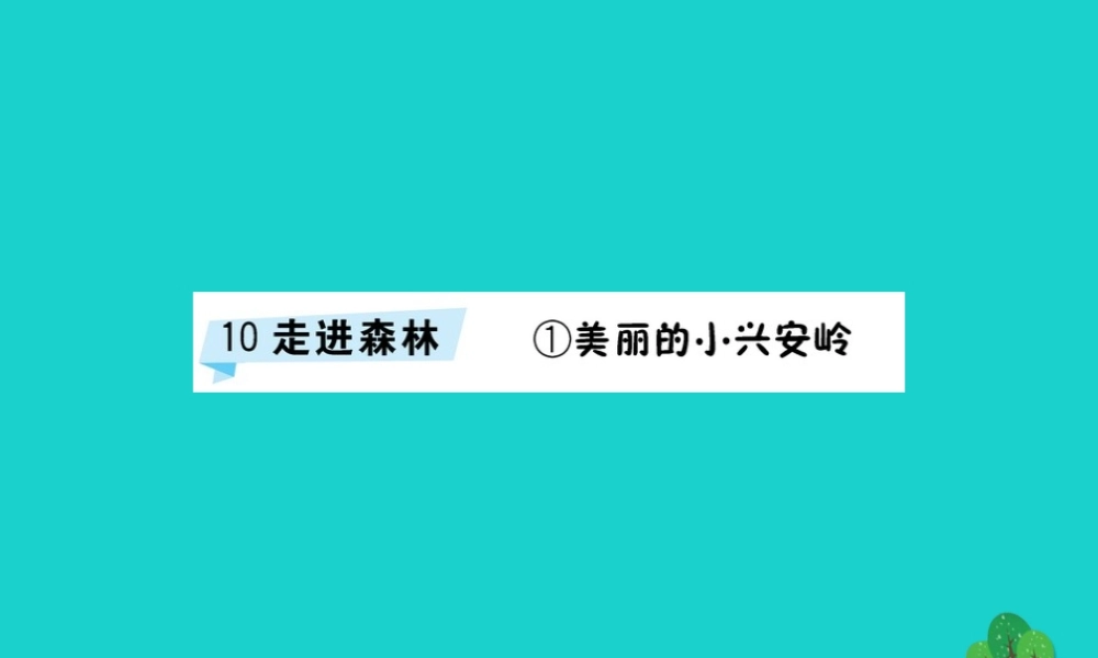 三年级语文下册 10《走进森林》美丽的小兴安岭习题课件 北师大版-北师大版小学三年级下册语文课件