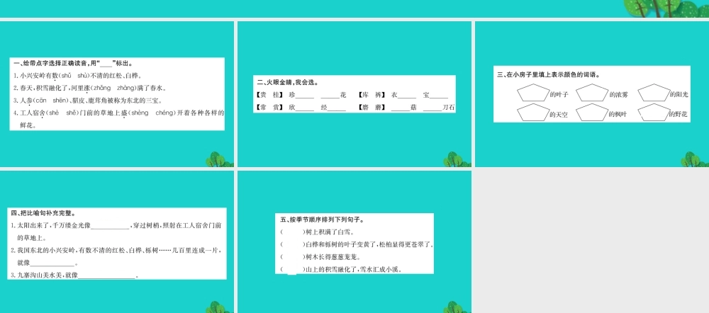 三年级语文下册 10《走进森林》美丽的小兴安岭习题课件 北师大版-北师大版小学三年级下册语文课件