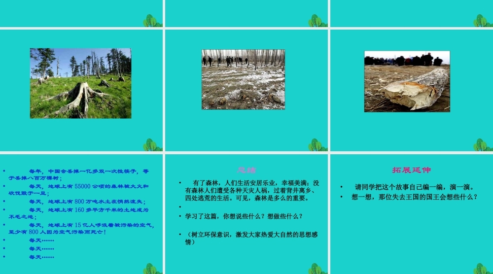 三年级语文下册 10《走进森林》失踪的森林王国教学课件 北师大版-北师大版小学三年级下册语文课件