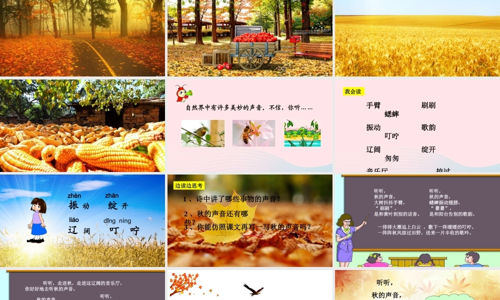 三年级语文上册 第三组 12《听听，秋的声音》课堂教学课件1 新人教版-新人教版小学三年级上册语文课件