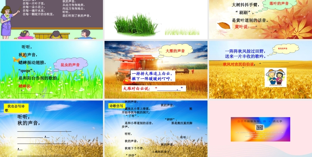 三年级语文上册 第三组 12《听听，秋的声音》课堂教学课件1 新人教版-新人教版小学三年级上册语文课件