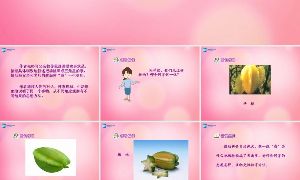 三年级语文下册 11 画杨桃教学课件 新人教版-新人教版小学三年级下册语文课件