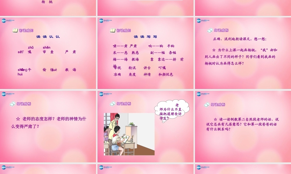 三年级语文下册 11 画杨桃教学课件 新人教版-新人教版小学三年级下册语文课件