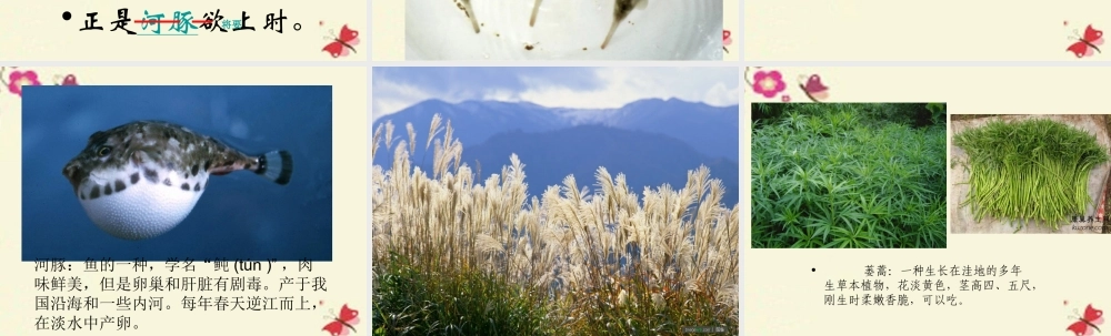 三年级语文下册 第2单元 古诗诵读《惠崇春江晚景二首（其一）》课件 沪教版-沪教版小学三年级下册语文课件