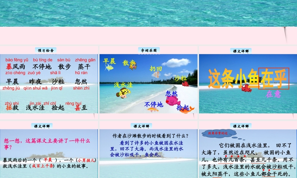 三年级语文下册 11.1《这条小鱼在乎》课件 长春版-长春版小学三年级下册语文课件