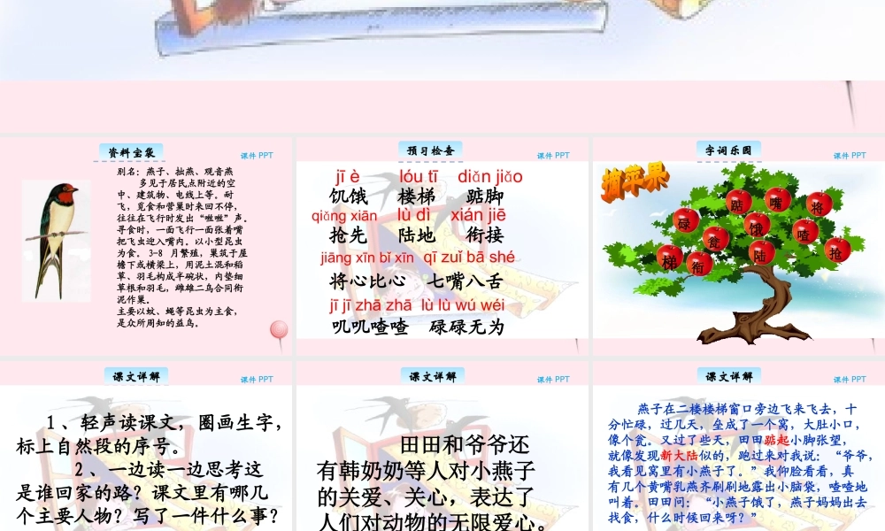 三年级语文下册 11.2《燕子回家的路》课件 长春版-长春版小学三年级下册语文课件