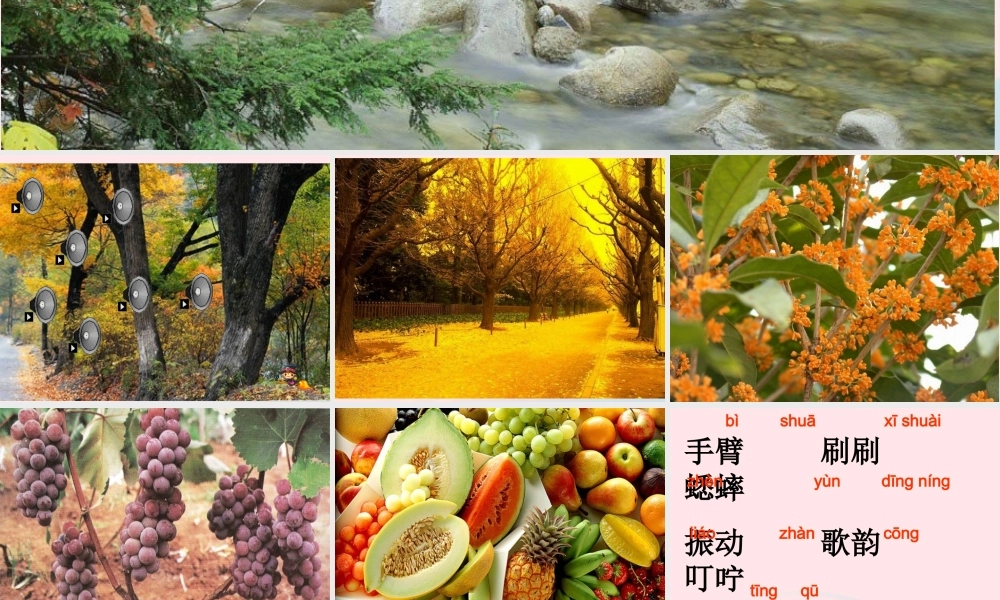 三年级语文上册 第三组 12《听听，秋的声音》课堂教学课件4 新人教版-新人教版小学三年级上册语文课件