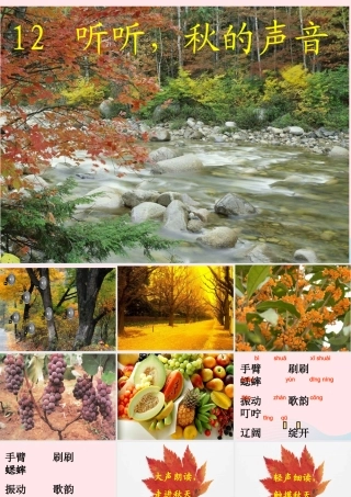 三年级语文上册 第三组 12《听听，秋的声音》课堂教学课件4 新人教版-新人教版小学三年级上册语文课件