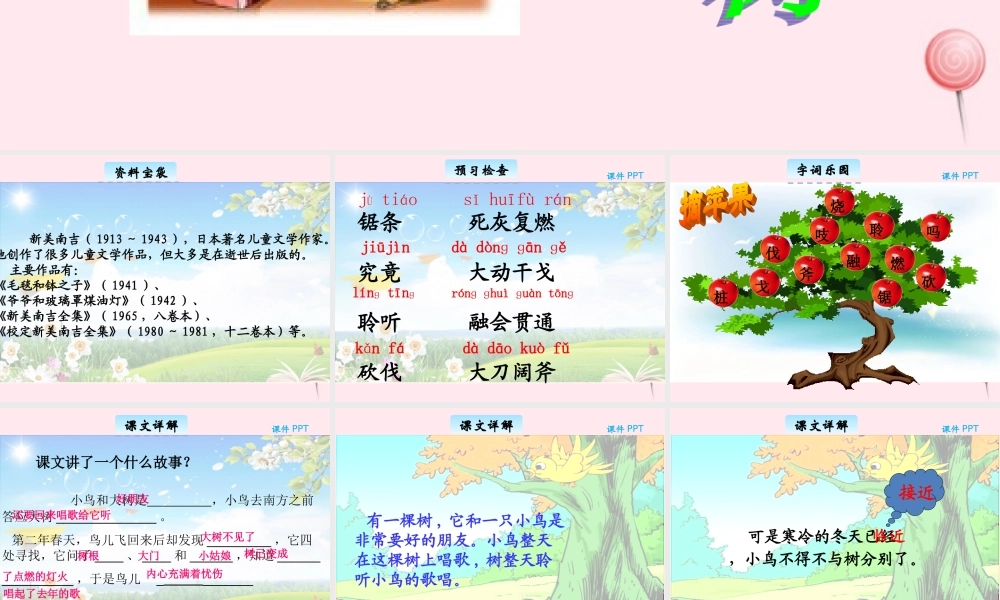 三年级语文下册 11.3《去年的树》课件 长春版-长春版小学三年级下册语文课件