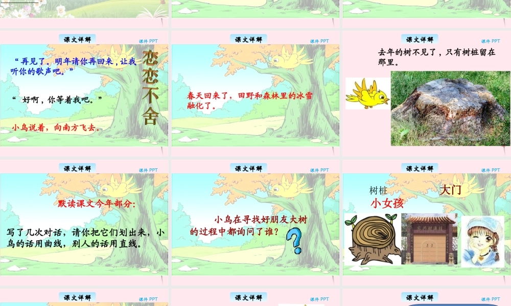 三年级语文下册 11.3《去年的树》课件 长春版-长春版小学三年级下册语文课件