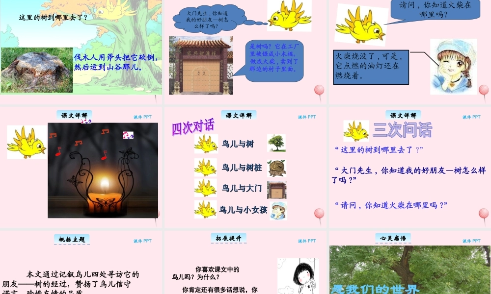 三年级语文下册 11.3《去年的树》课件 长春版-长春版小学三年级下册语文课件