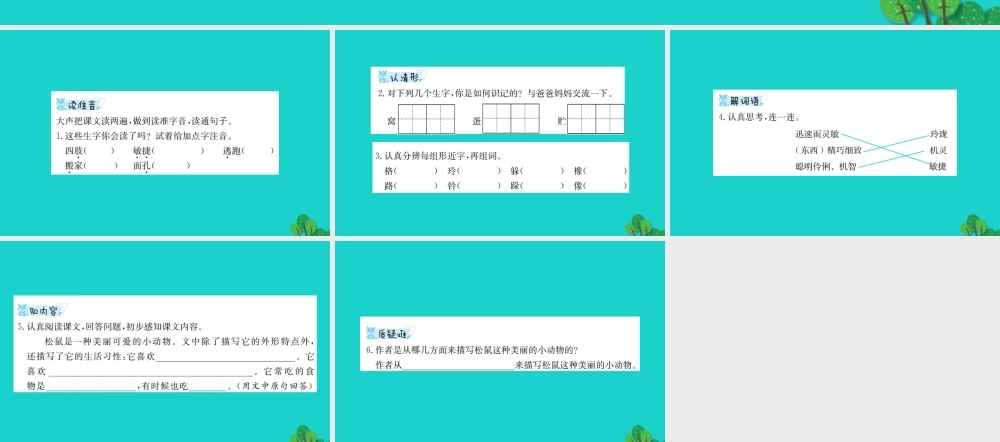 三年级语文下册 3《可爱的小生灵》松鼠预习课件 北师大版-北师大版小学三年级下册语文课件