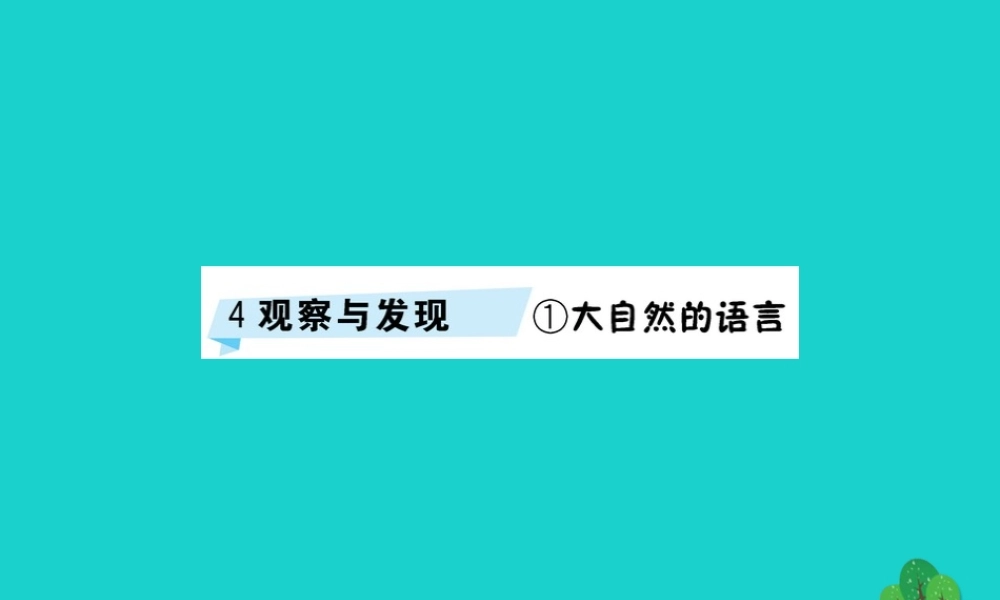 三年级语文下册 4《观察与发现》大自然的语言习题课件 北师大版-北师大版小学三年级下册语文课件