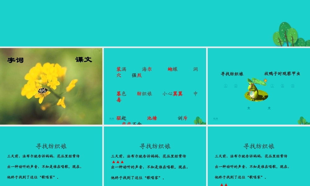 三年级语文下册 4《观察与发现》装满昆虫的口袋教学课件 北师大版-北师大版小学三年级下册语文课件