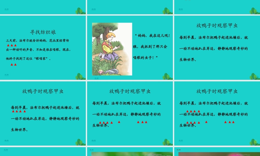 三年级语文下册 4《观察与发现》装满昆虫的口袋教学课件 北师大版-北师大版小学三年级下册语文课件