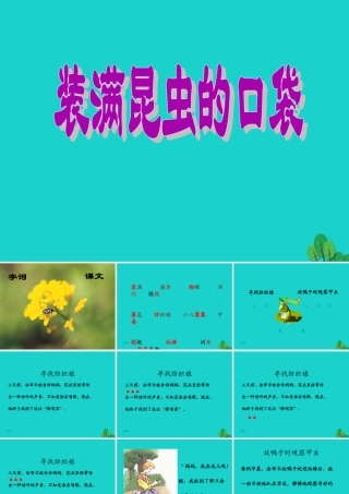 三年级语文下册 4《观察与发现》装满昆虫的口袋教学课件 北师大版-北师大版小学三年级下册语文课件