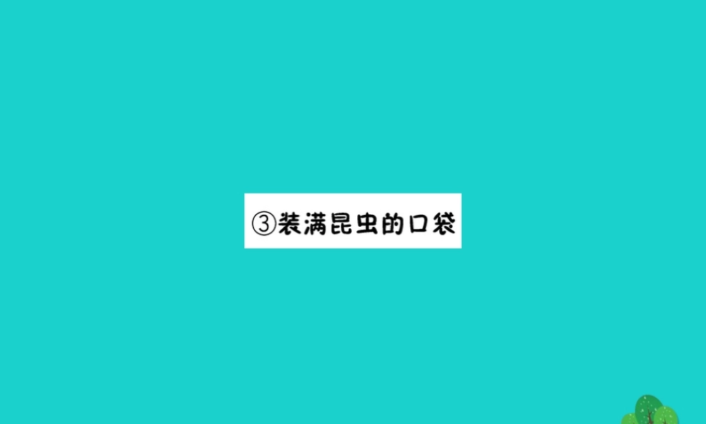 三年级语文下册 4《观察与发现》装满昆虫的口袋习题课件 北师大版-北师大版小学三年级下册语文课件