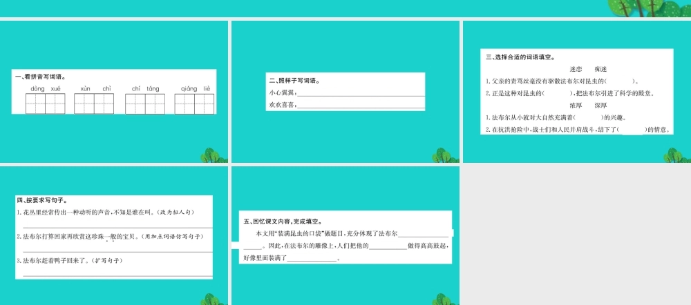 三年级语文下册 4《观察与发现》装满昆虫的口袋习题课件 北师大版-北师大版小学三年级下册语文课件