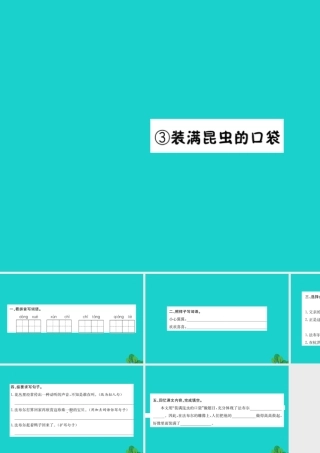 三年级语文下册 4《观察与发现》装满昆虫的口袋习题课件 北师大版-北师大版小学三年级下册语文课件