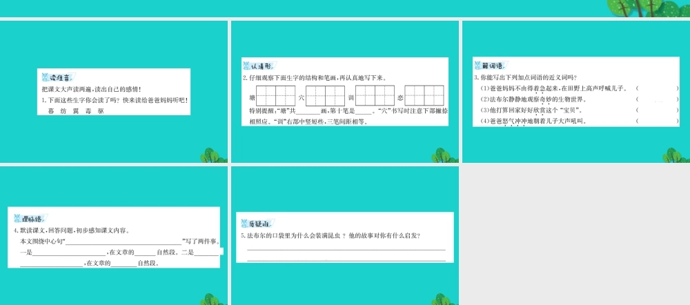 三年级语文下册 4《观察与发现》装满昆虫的口袋预习课件 北师大版-北师大版小学三年级下册语文课件