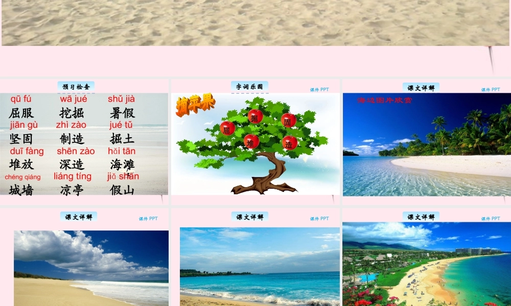 三年级语文下册 6.1《夏日的海滩》课件 长春版-长春版小学三年级下册语文课件