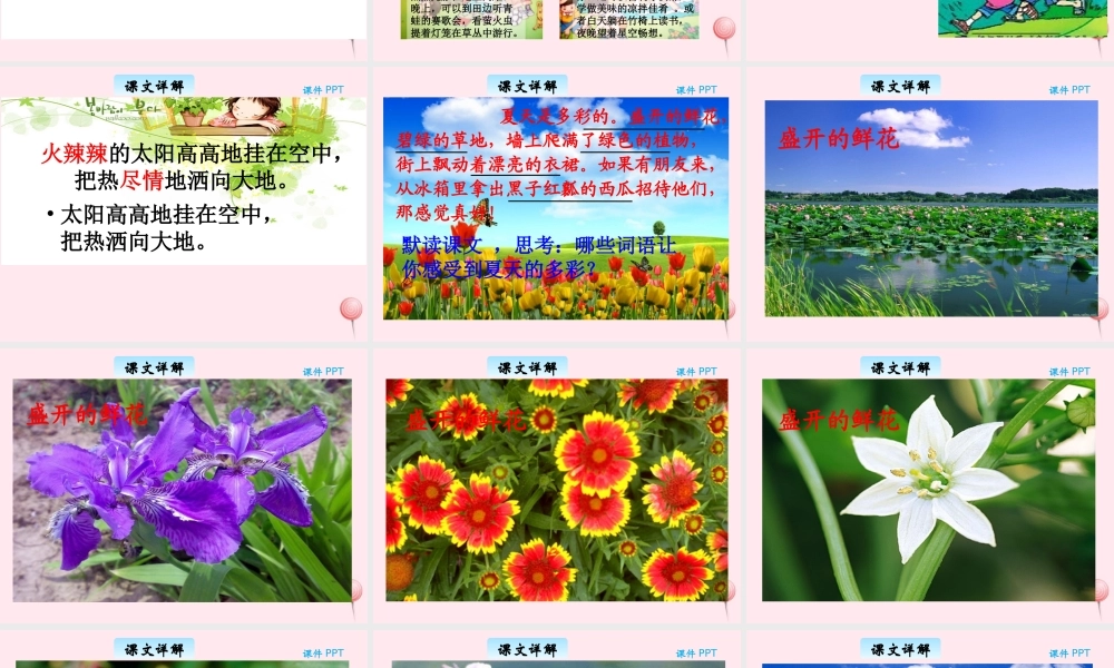 三年级语文下册 6.2《多彩的夏天》课件 长春版-长春版小学三年级下册语文课件