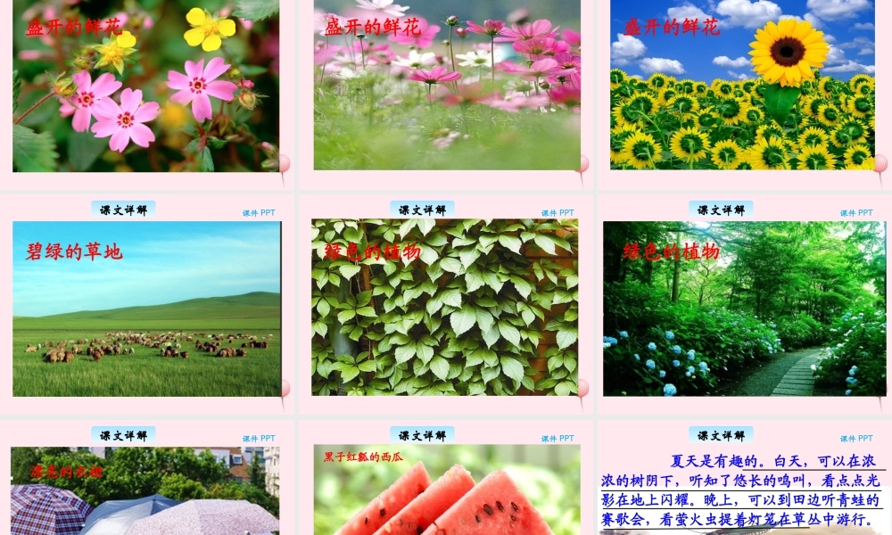 三年级语文下册 6.2《多彩的夏天》课件 长春版-长春版小学三年级下册语文课件
